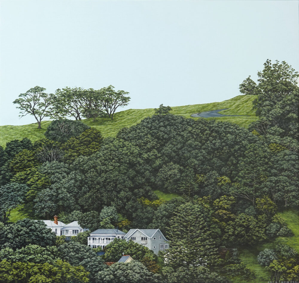 The Way the Land Lies II (Mt Eden)