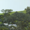 The Way the Land Lies II (Mt Eden)
