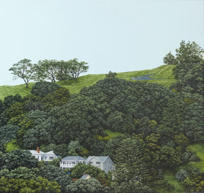 The Way the Land Lies II (Mt Eden)