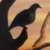 Kereru - Little Barrier