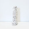 Spotty Dog