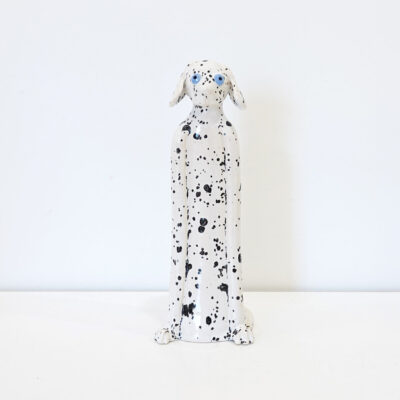 Spotty Dog