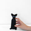 Black Kitten