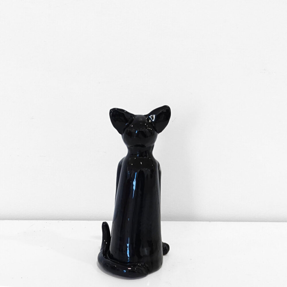 Black Kitten