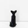 Black Kitten