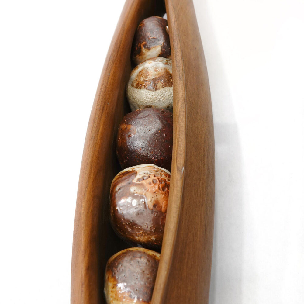Swamp Kauri Pod & Totara Pod
