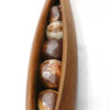 Swamp Kauri Pod & Totara Pod