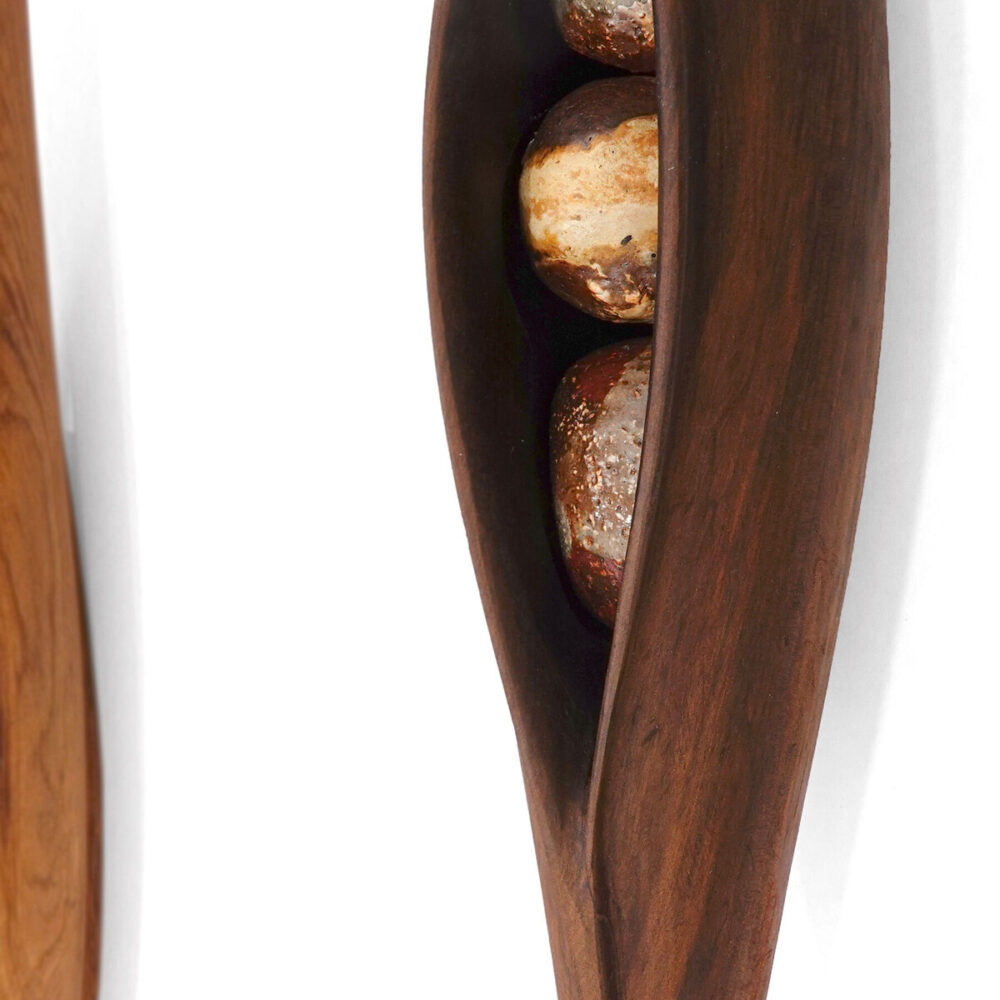 Swamp Kauri Pod & Totara Pod
