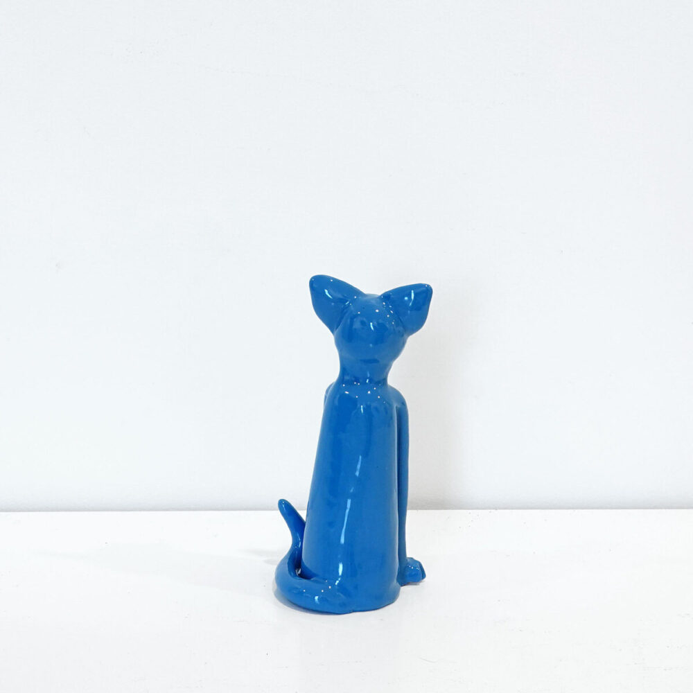 Blue Kitten
