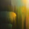Spirits of the Rainforest