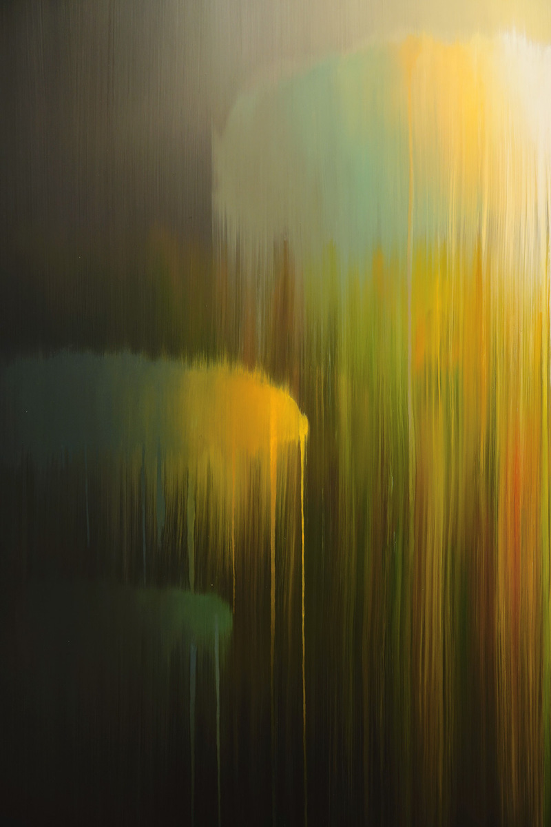 Spirits of the Rainforest