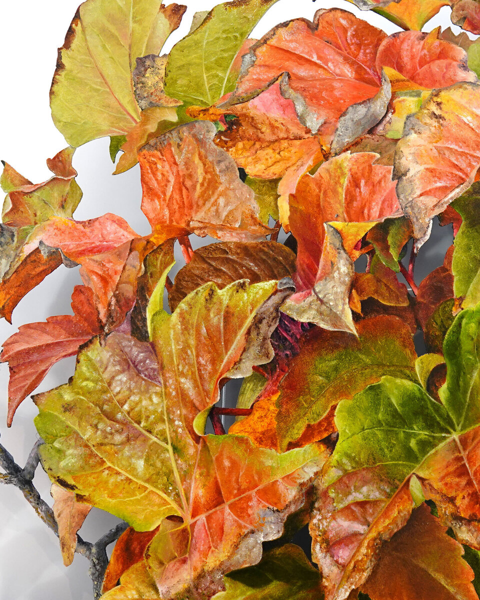Northern Club Ficus