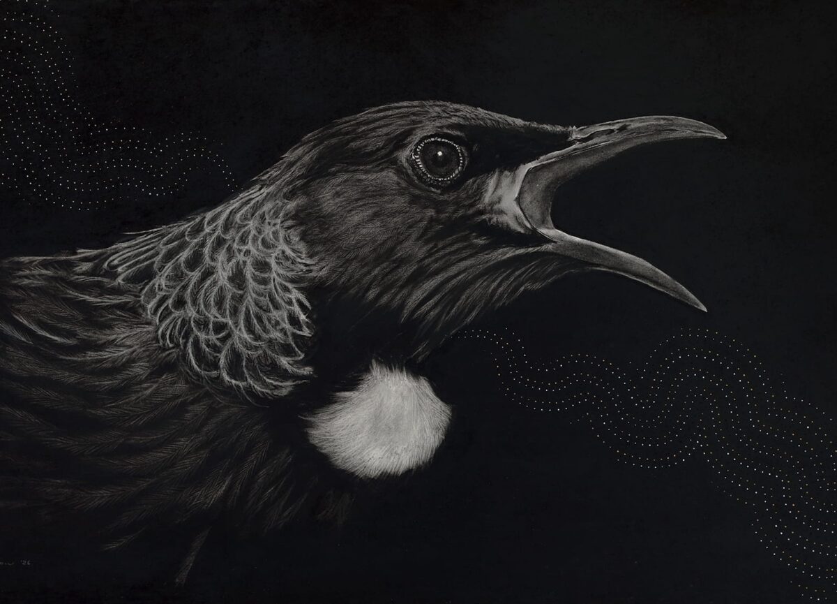 Gareth Barlow tui bird black and white charcoal artwork