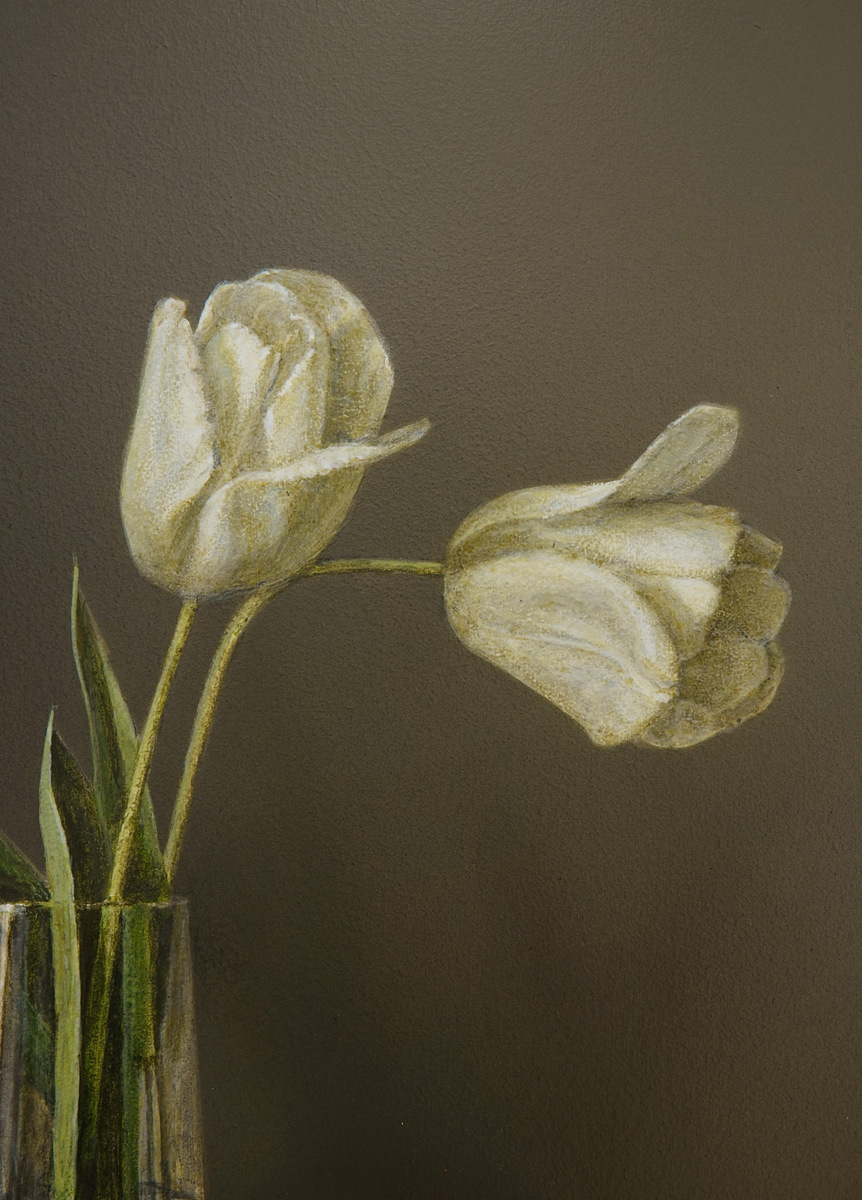 Two Tulips