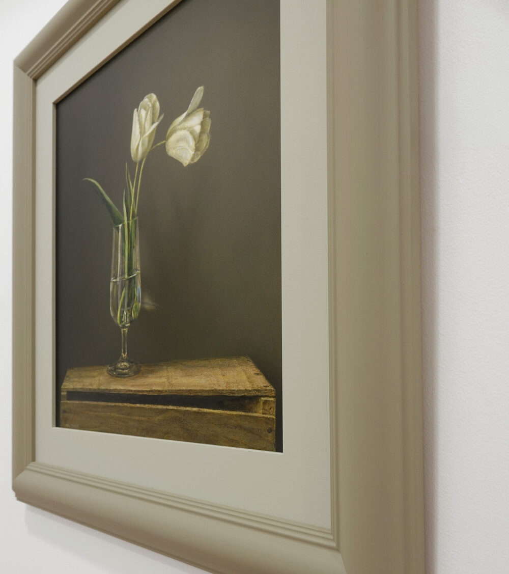 Two Tulips