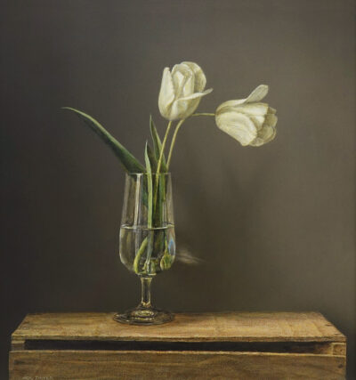 Two Tulips