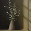 Blossom