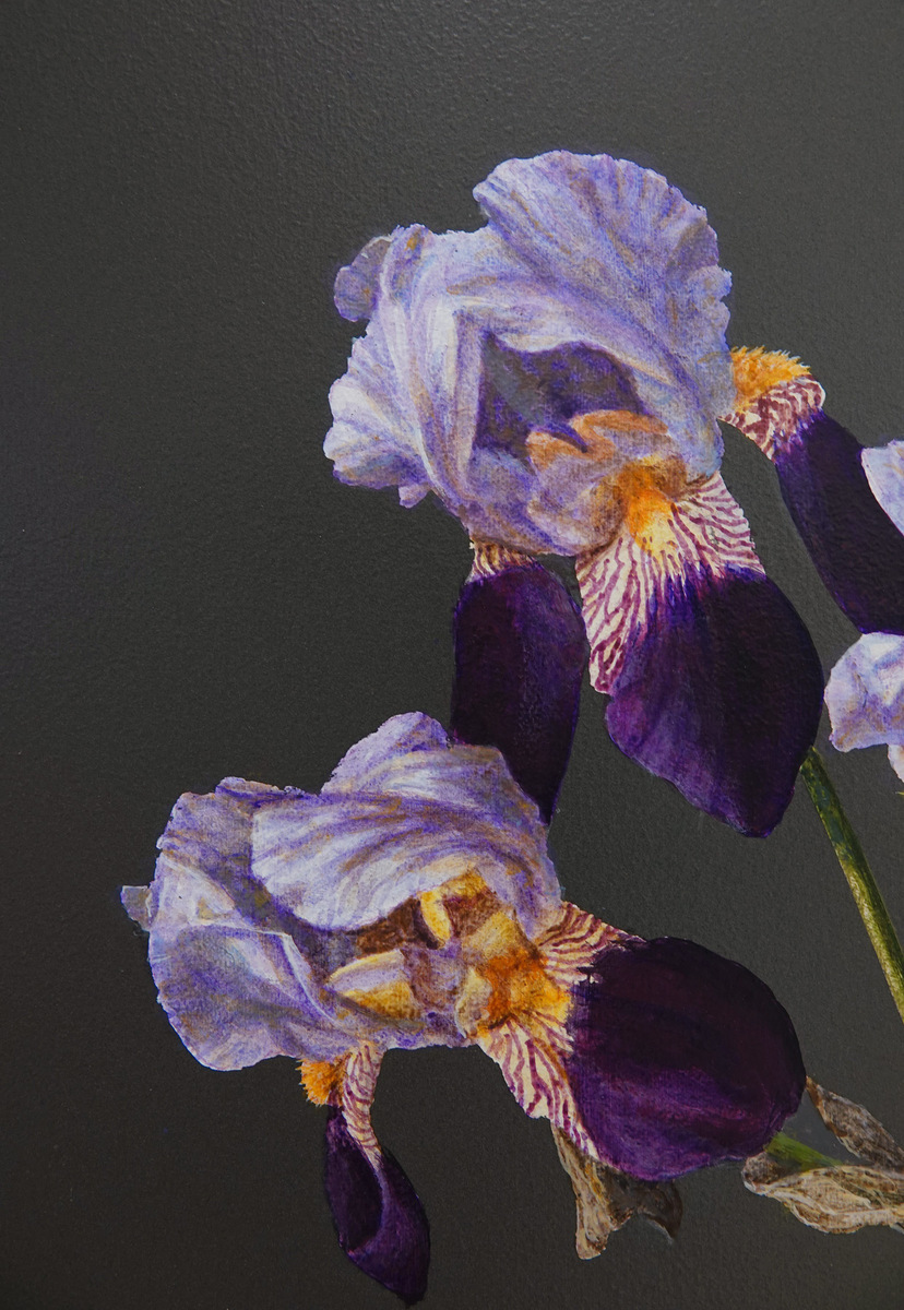 Irises, Plum & Bowl