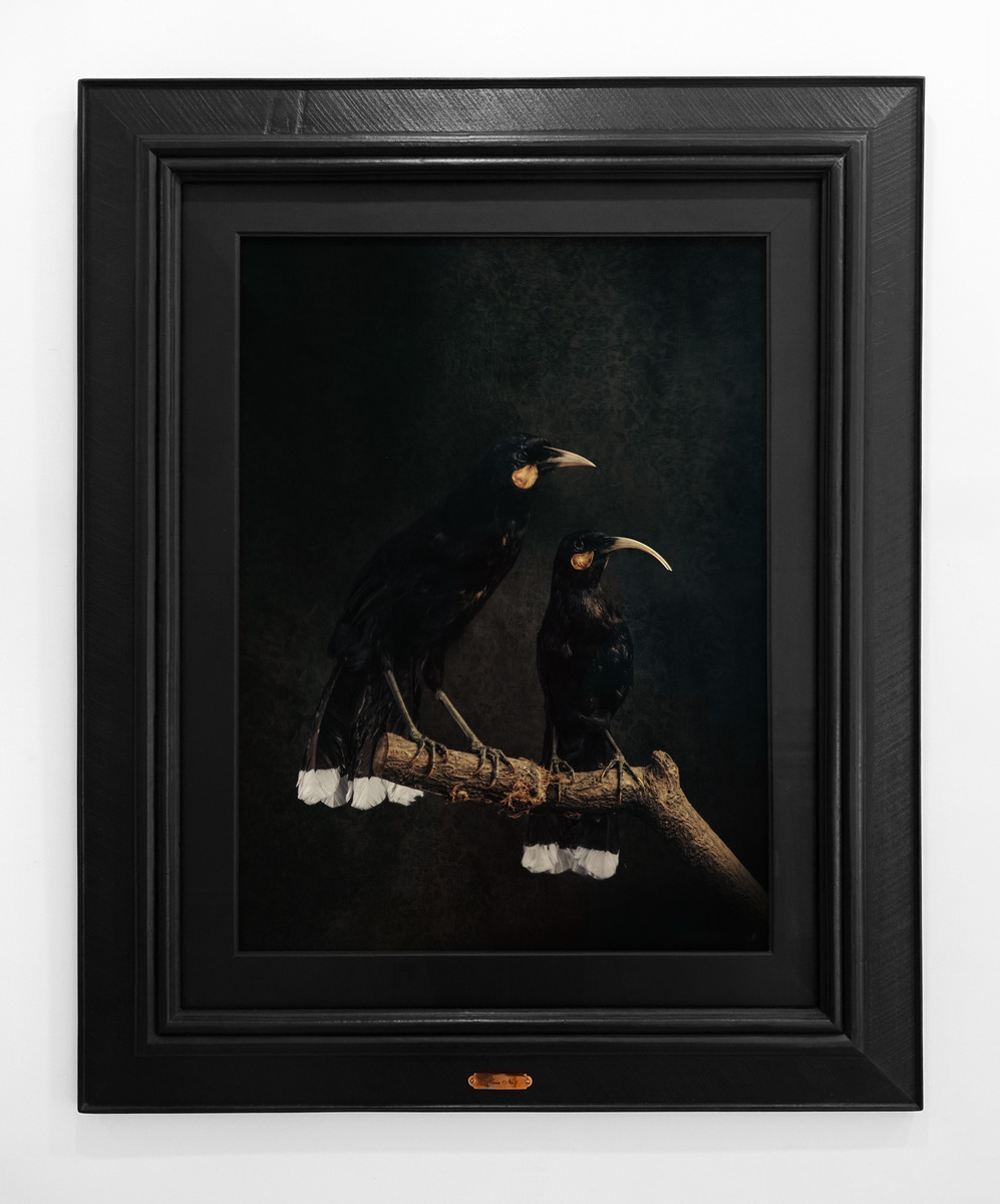 Huia No.1