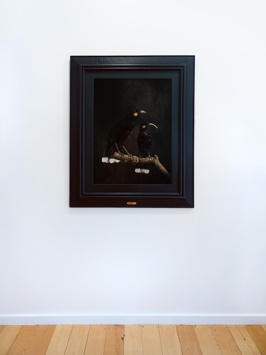 Huia No.1