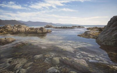 Te Kaha Rockpools - East Coast, NZ