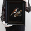 Sparrow I