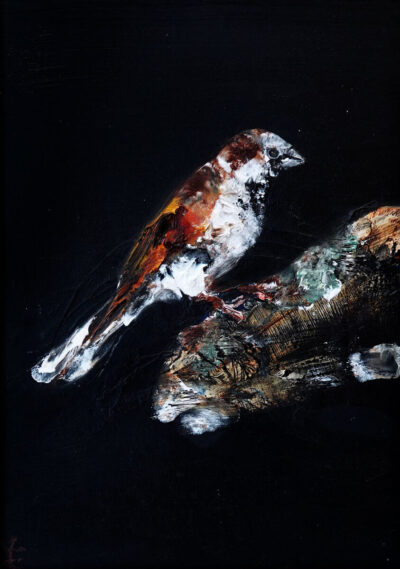 Sparrow I