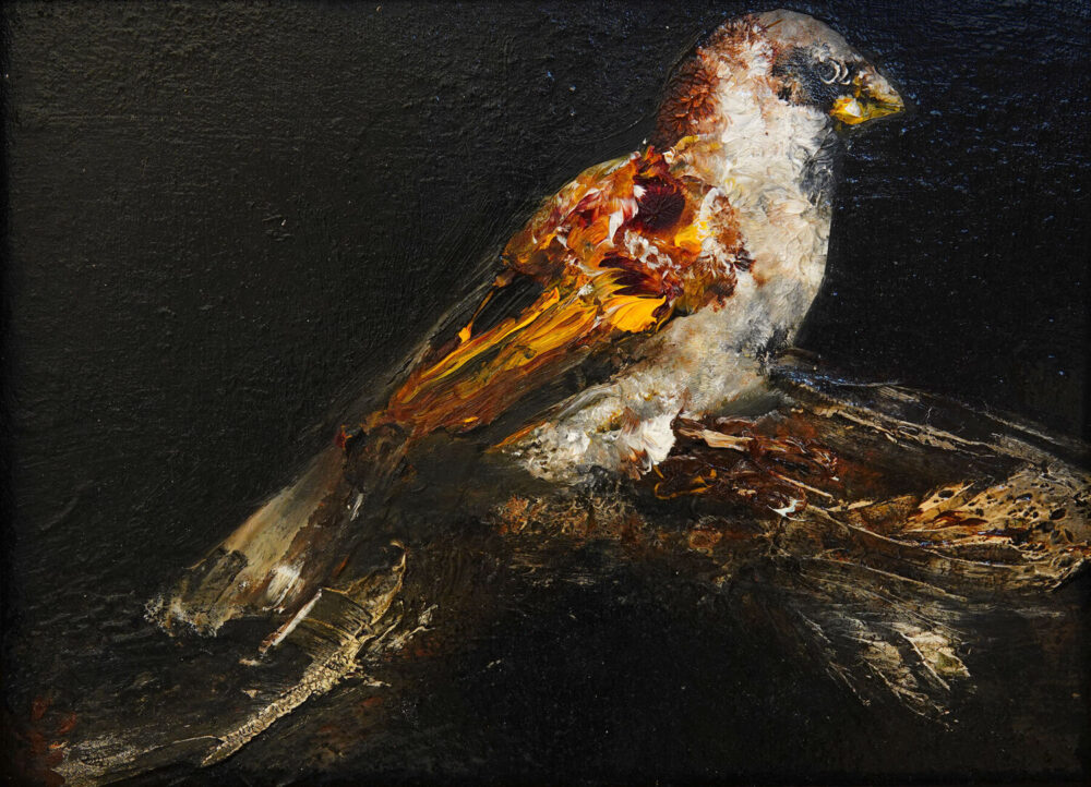 Sparrow II