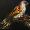 Sparrow II