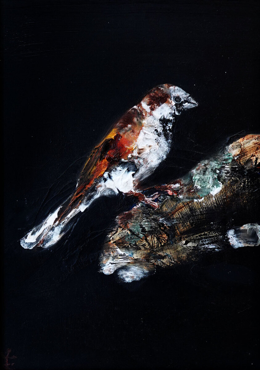 Sparrow I